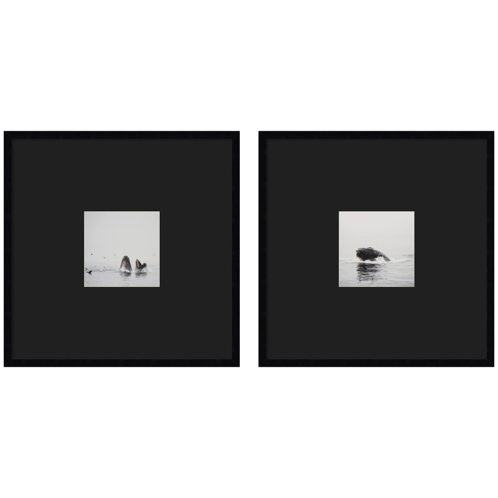 Humpback Whale 2 Piece Framed Wall Art Print Set by Laura Evans Black Mat