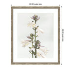Framed Art Hosta by Alicia Abla