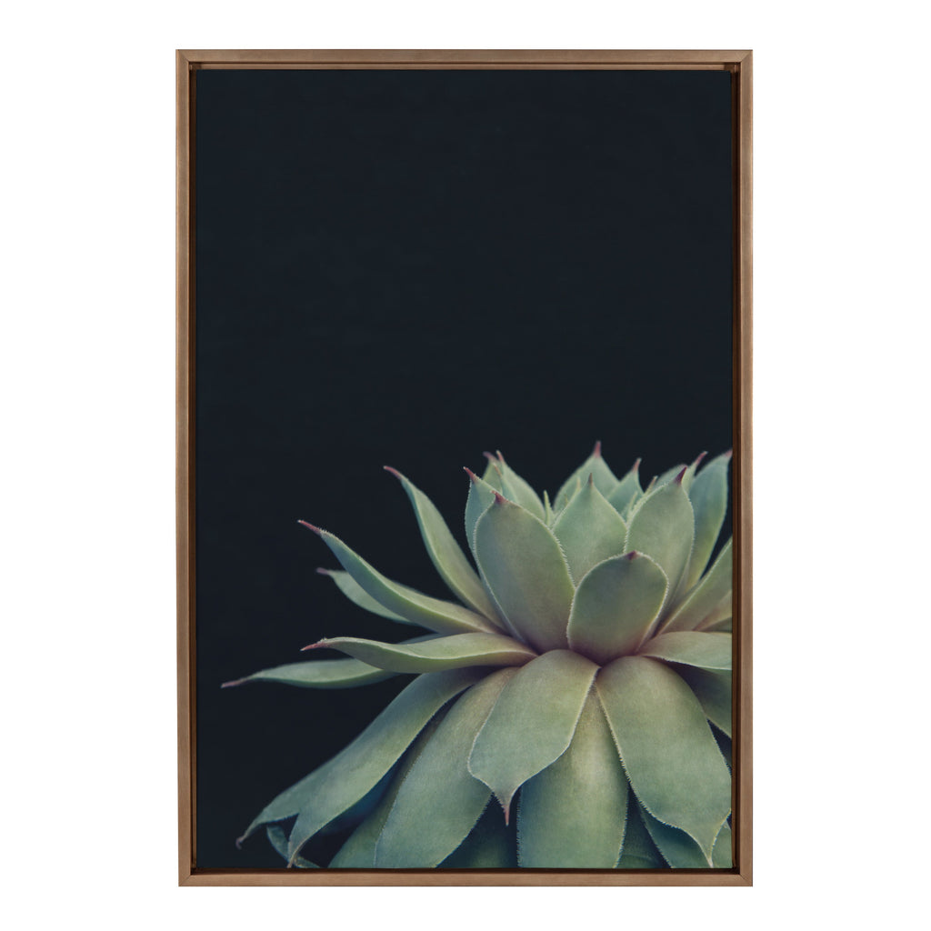 Sylvie Succulent Framed Canvas by F2 Images