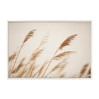 Sylvie Marsh Grass No 8 Framed Canvas by Crystal Lynn Collins