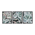 Sylvie Botanical Succulent Plants Framed Canvas Set by The Creative Bunch Studio