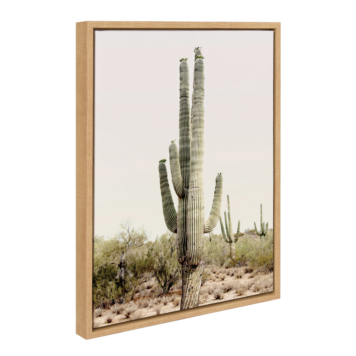 Sylvie Sunrise Cactus Framed Canvas by Amy Peterson Art Studio