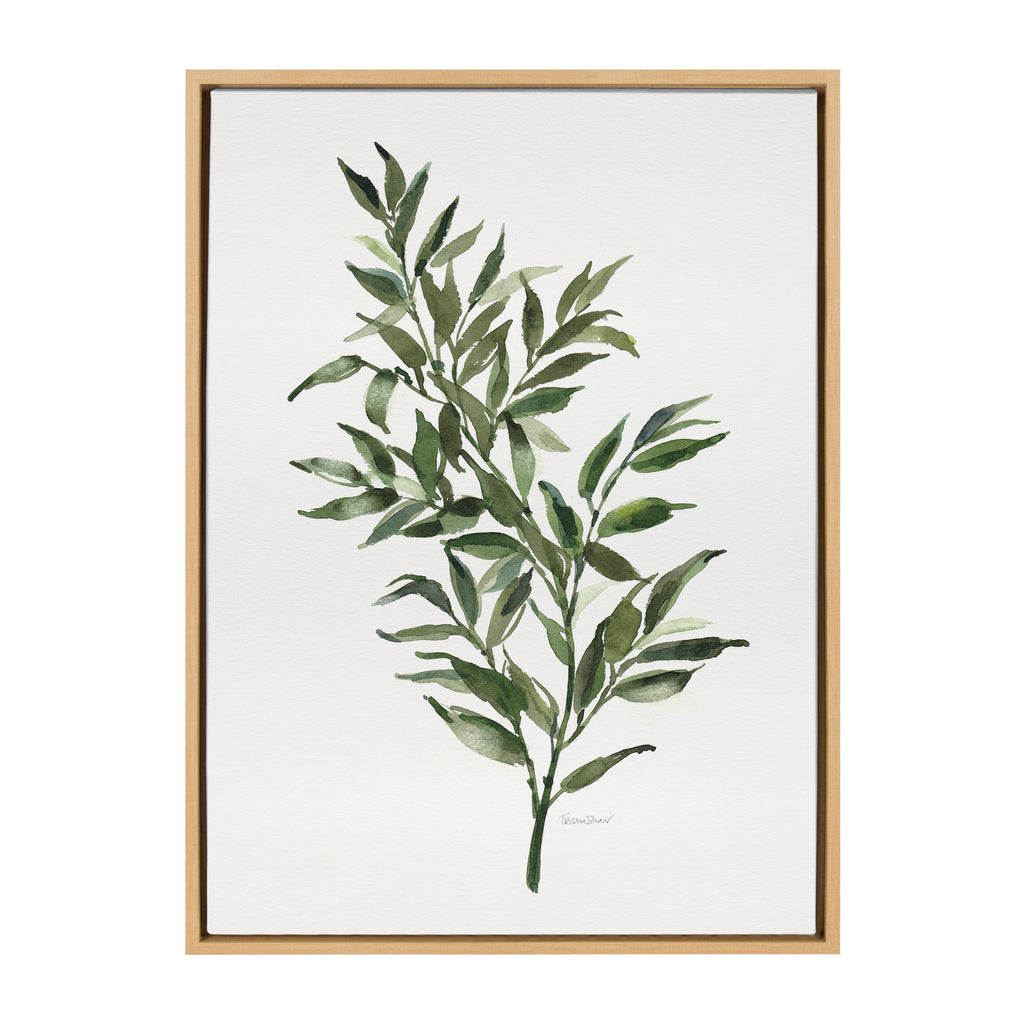 Sylvie Ruscus Framed Canvas by Patricia Shaw