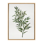 Sylvie Ruscus Framed Canvas by Patricia Shaw