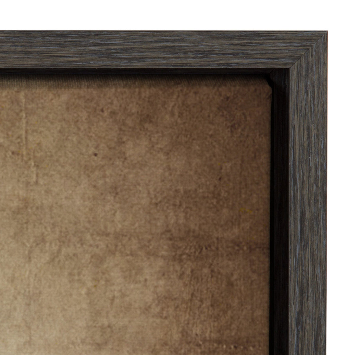 Sylvie Vintage Baseball Framed Canvas by Shawn St. Peter