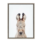 Sylvie Animal Studio Burro Portrait Framed Canvas by Amy Peterson Art Studio