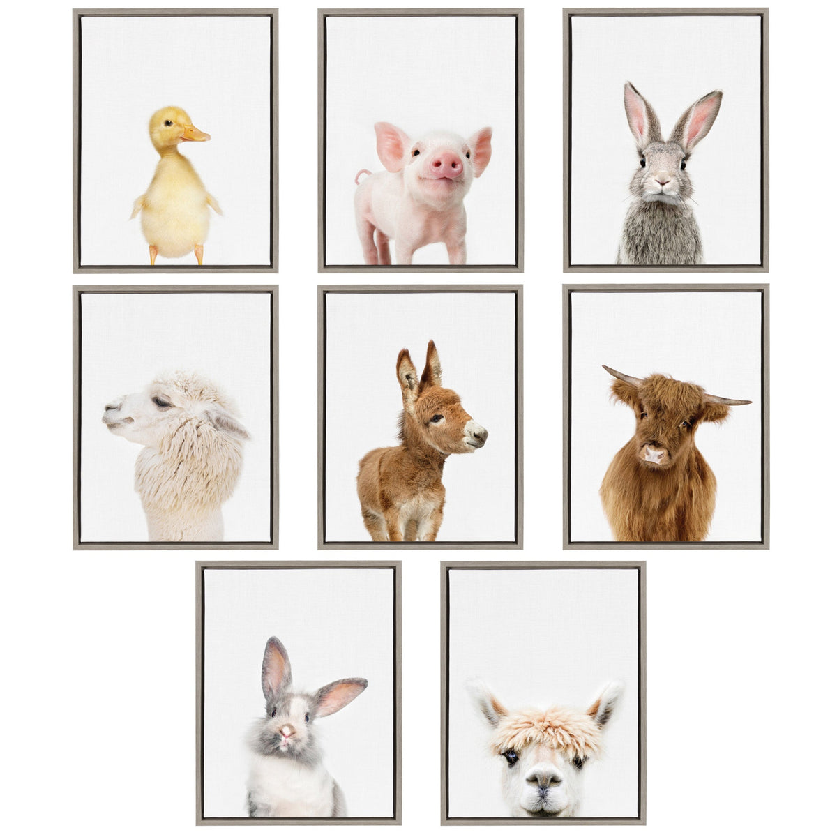 Sylvie Animal Studio Alpaca Profile Framed Canvas by Amy Peterson Art Studio