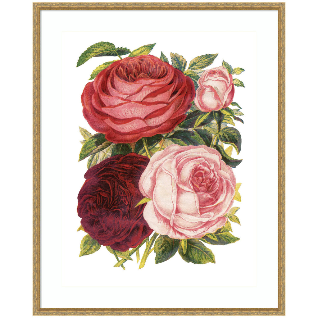 Framed Art Victorian Flowers by The Creative Bunch Studio