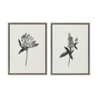 Sylvie Vintage Botanical 1 and 2 Framed Canvas by Teju Reval of SnazzyHues