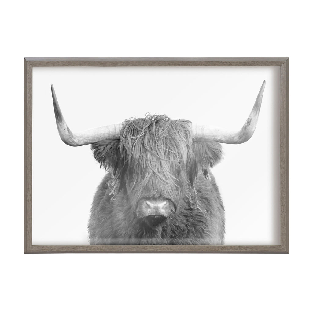 Blake Highland Cow Portrait Framed Printed Art by Amy Peterson Art Studio