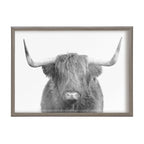 Blake Highland Cow Portrait Framed Printed Art by Amy Peterson Art Studio
