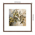 Olive Tree by The Creative Bunch Studio Framed Wall Art Print