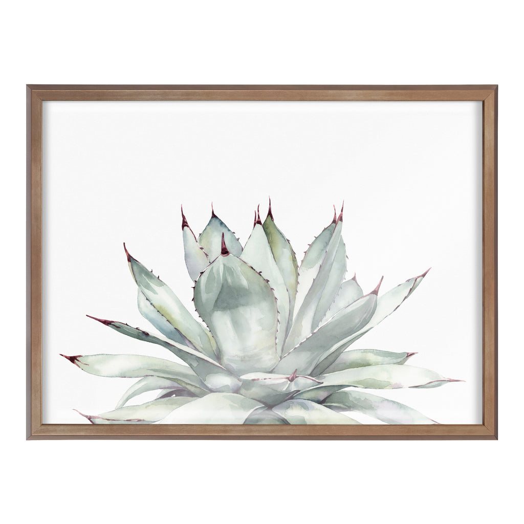 Blake Parrys Agave Framed Printed Glass by Emily Marie Watercolors