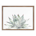 Blake Parrys Agave Framed Printed Glass by Emily Marie Watercolors