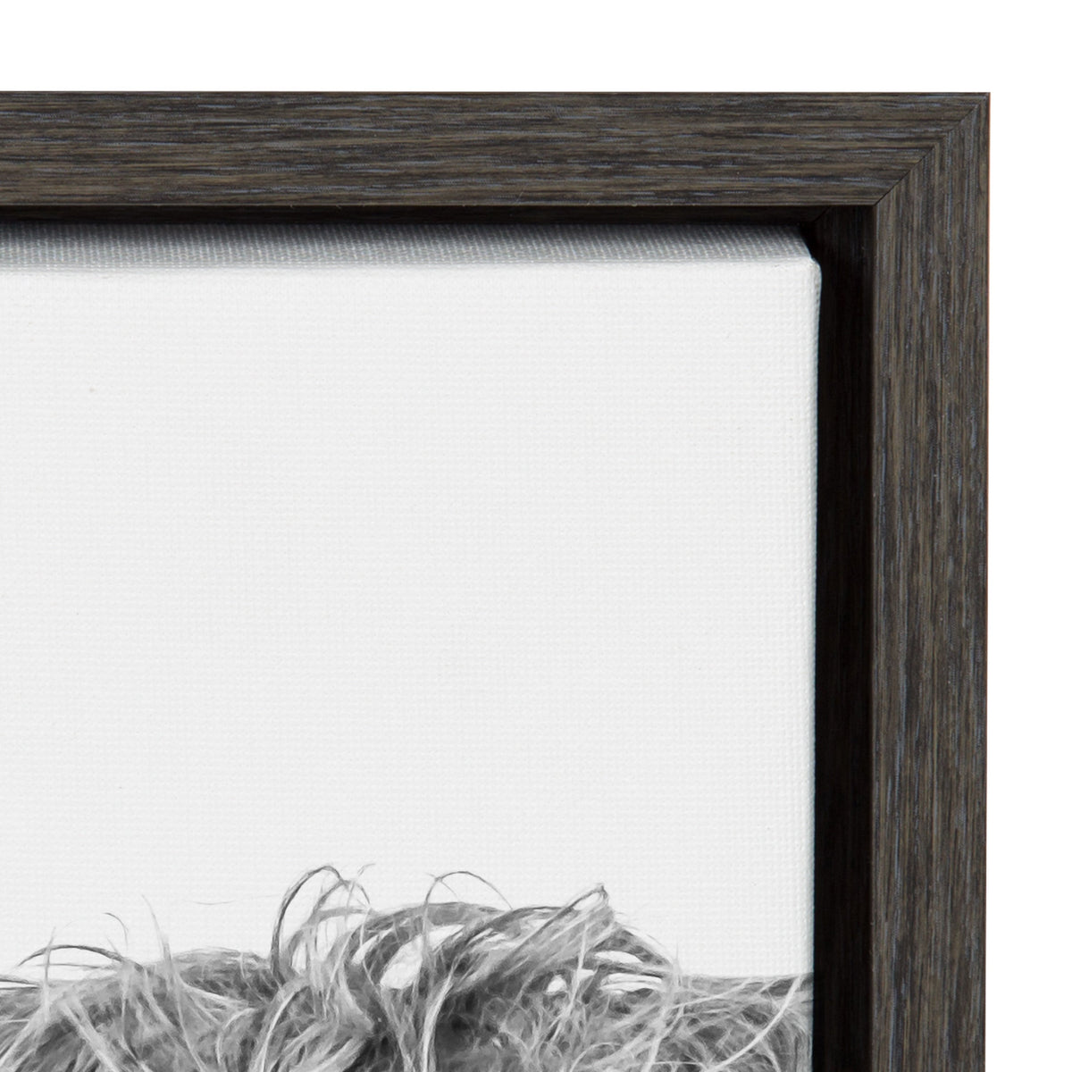 Sylvie Highland Cow Framed Canvas by Amy Peterson Art Studio