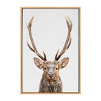Sylvie The Red Deer Color Framed Canvas by Simon Te of Tai Prints