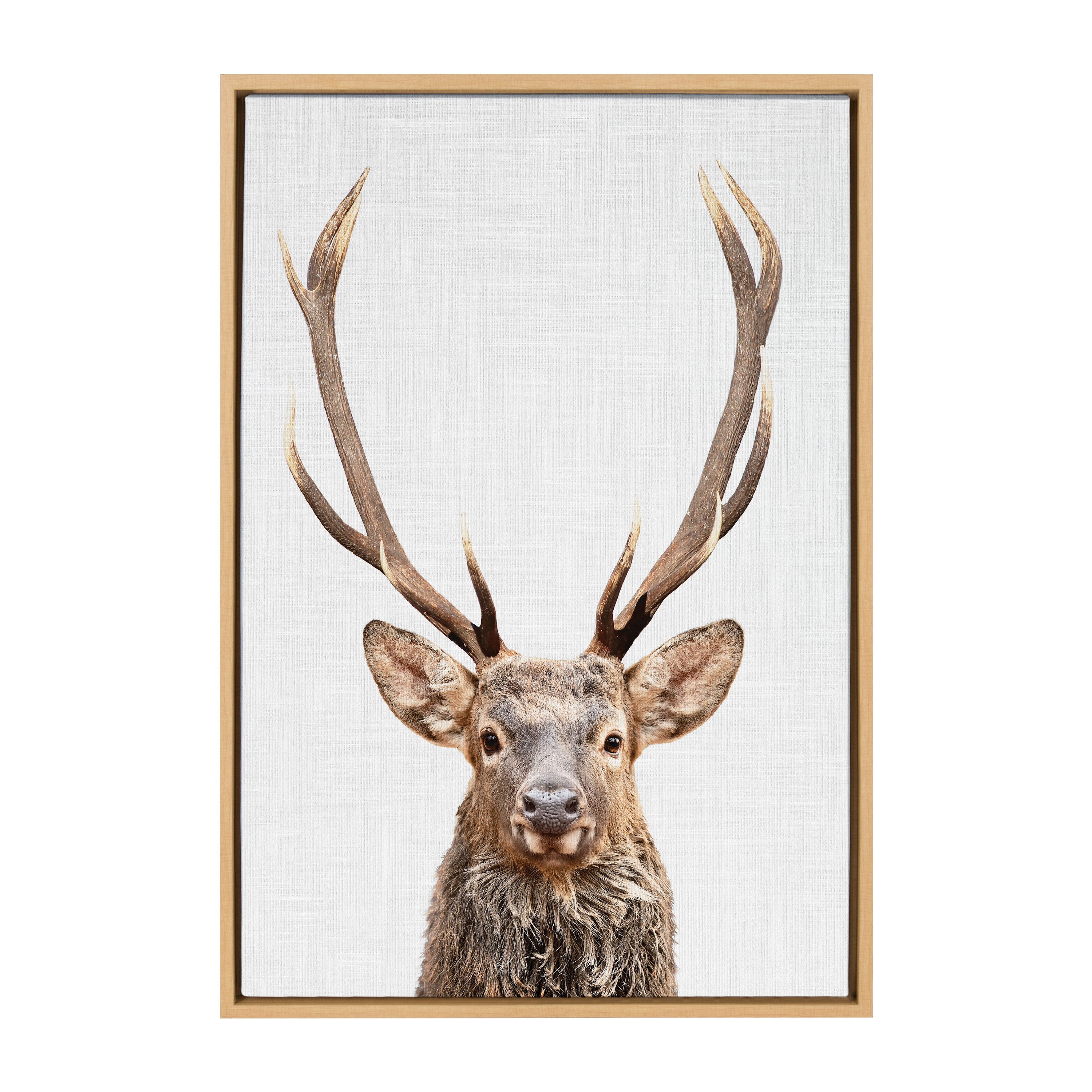 Sylvie The Red Deer Color Framed Canvas by Simon Te of Tai Prints