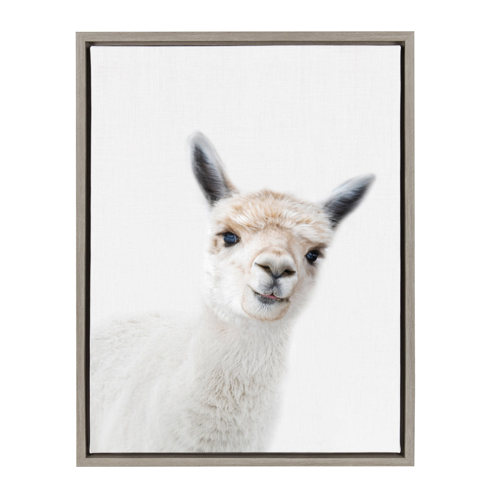 Sylvie Animal Studio Alpaca Framed Canvas by Amy Peterson Art Studio