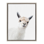 Sylvie Animal Studio Alpaca Framed Canvas by Amy Peterson Art Studio