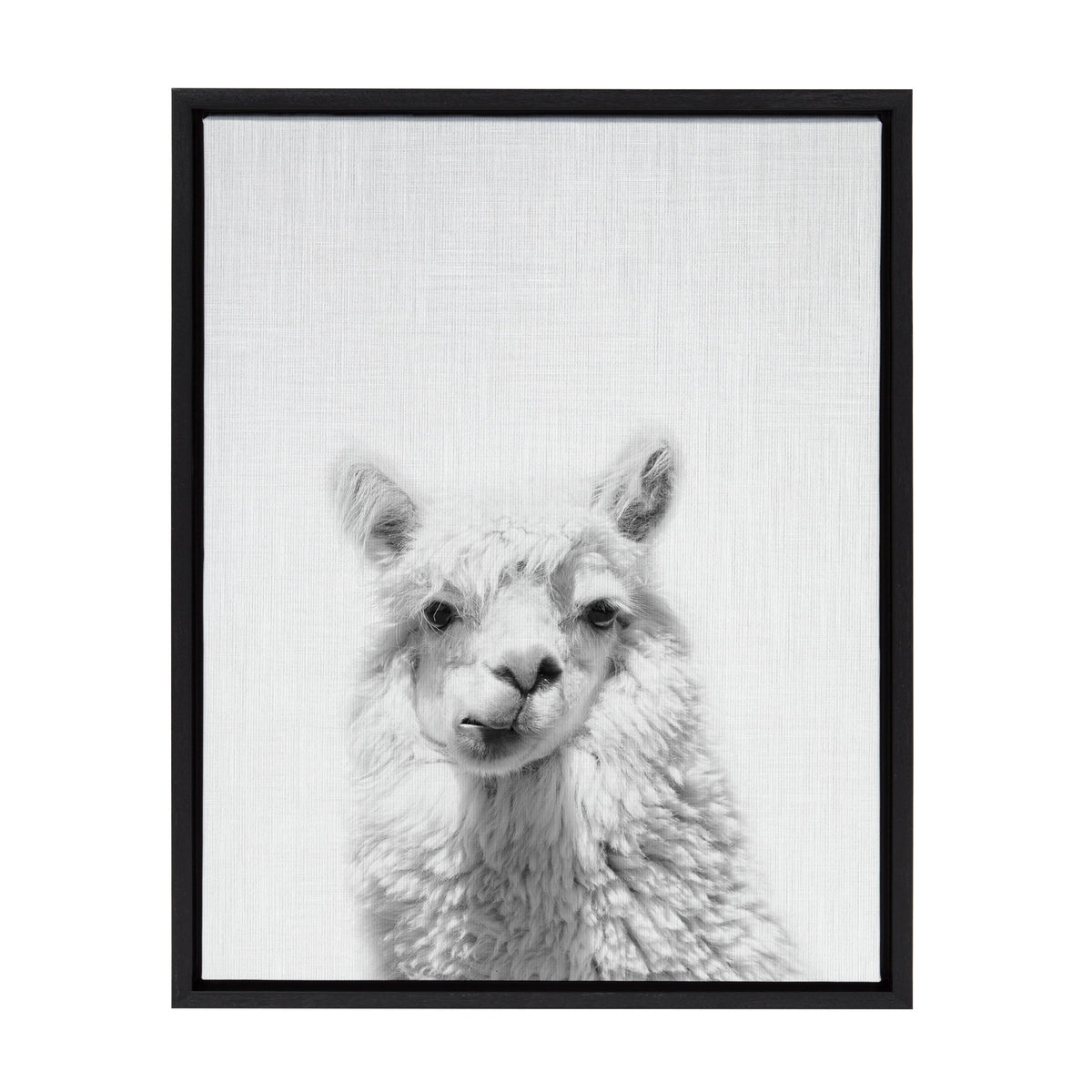 Sylvie Alpaca Framed Canvas by Simon Te of Tai Prints