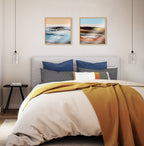 Blake Sonoran Desert Framed Printed Art by Xizhou Xie