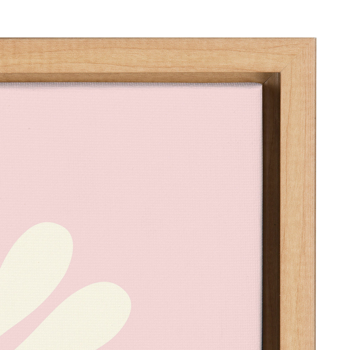Sylvie Groovy Daisy Framed Canvas by Elizabeth Olwen