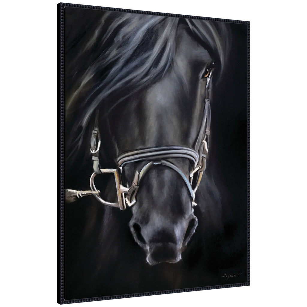 Ebony Splendor by Mary Sparrow Framed Canvas Wall Art Print