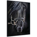 Ebony Splendor by Mary Sparrow Framed Canvas Wall Art Print