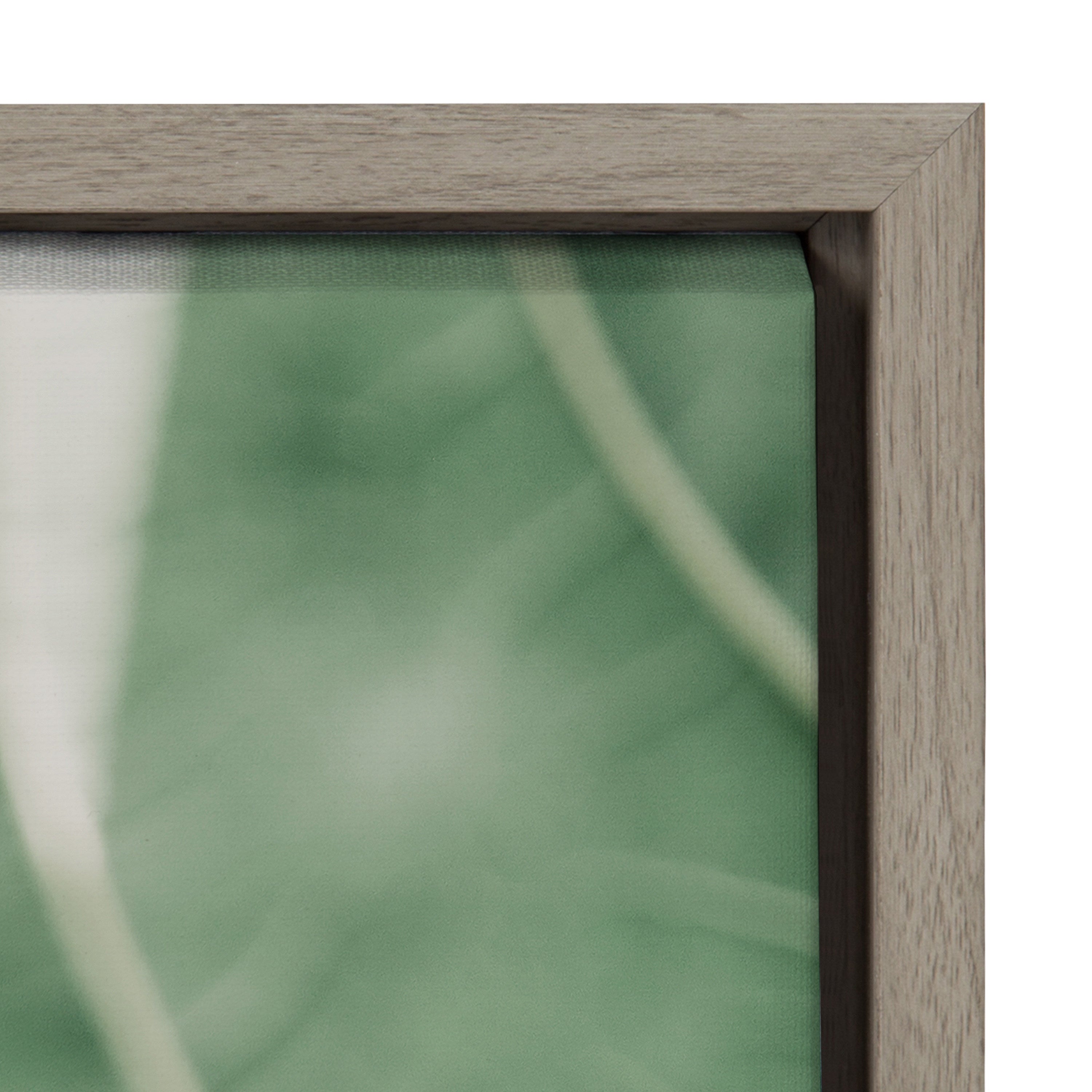 Sylvie Plant Study 7 Framed Canvas by Alicia Abla