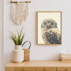 Sylvie Owl Wearing Glasses Framed Canvas by F2 Images