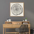 Sylvie Tree Rings Linen Framed Canvas by Emiko and Mark Franzen of F2Images