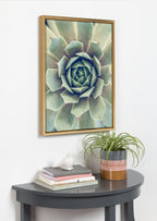 Sylvie Succulent 1 Framed Canvas by F2 Images