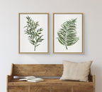 Sylvie Green Fern Framed Canvas by Patricia Shaw