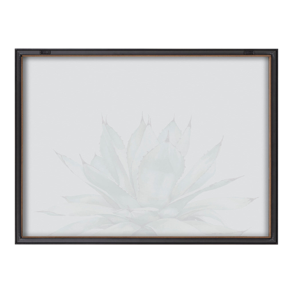 Blake Parrys Agave Framed Printed Glass by Emily Marie Watercolors