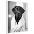Sylvie Black Lab Bathroom Art Towel Robe Black and White Framed Canvas by The Creative Bunch Studio