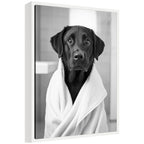 Sylvie Black Lab Bathroom Art Towel Robe Black and White Framed Canvas by The Creative Bunch Studio