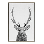 Sylvie The Red Deer BW Framed Canvas by Simon Te of Tai Prints