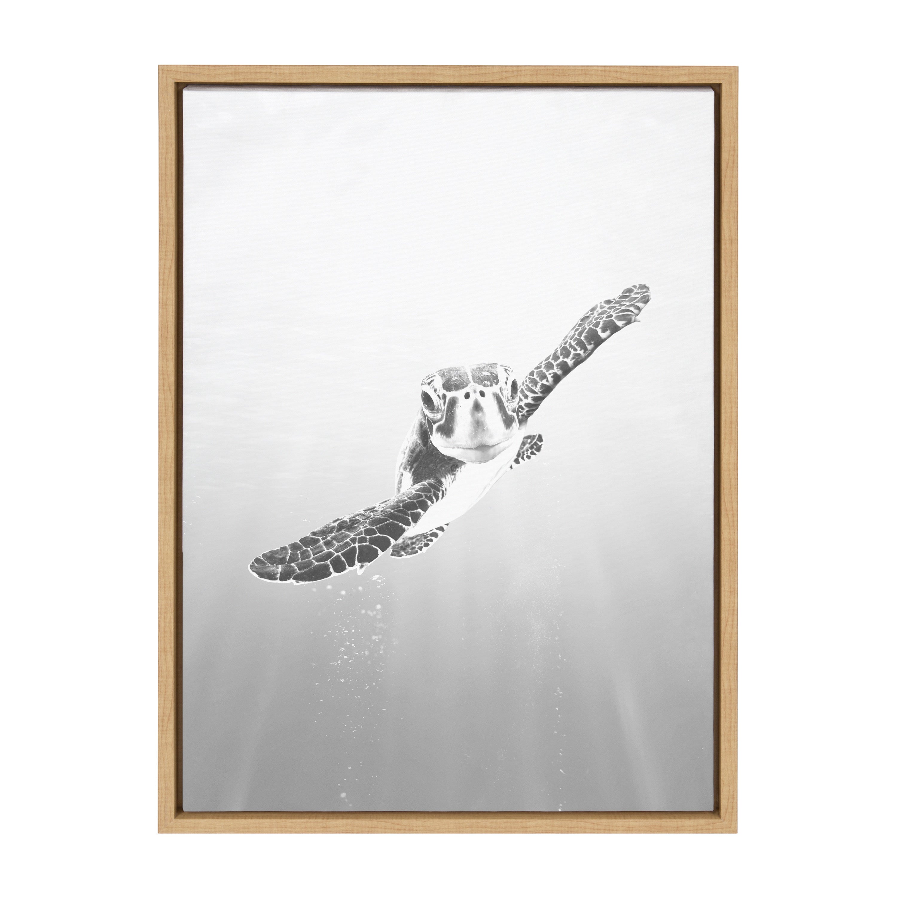Sylvie Sea Turtle Framed Canvas by Simon Te of Tai Prints