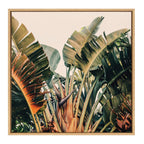 Sylvie Hue 2 Framed Canvas by Alicia Bock