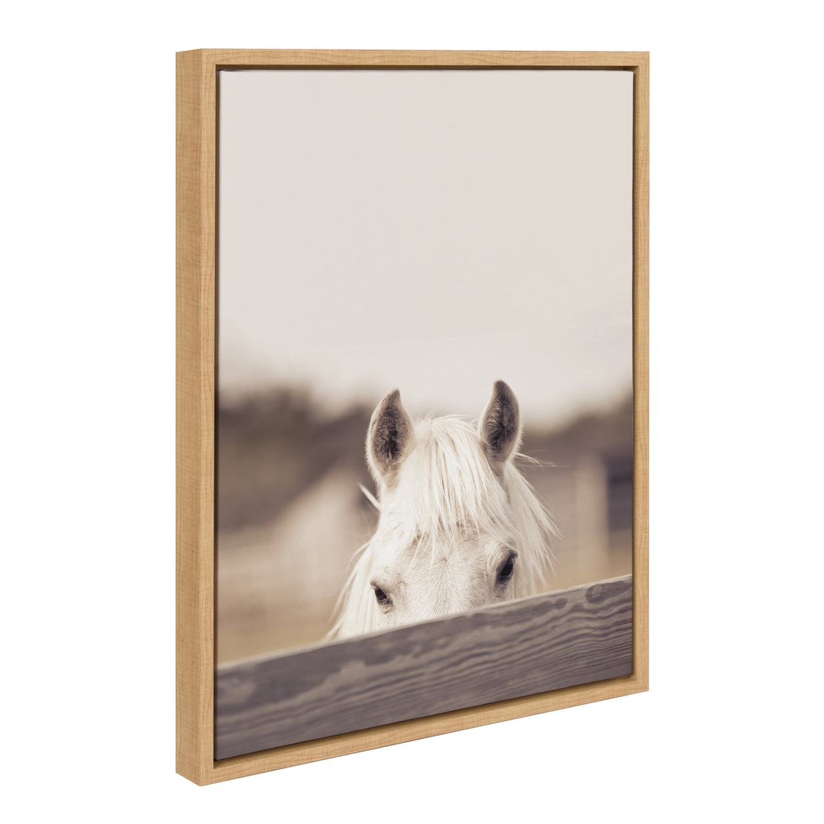 Sylvie Equine Framed Canvas by Robert Cadloff of Bomobob