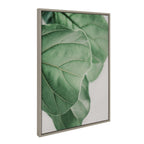 Sylvie Plant Study 6 Framed Canvas by Alicia Abla