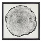 Sylvie Tree Rings Linen Framed Canvas by Emiko and Mark Franzen of F2Images