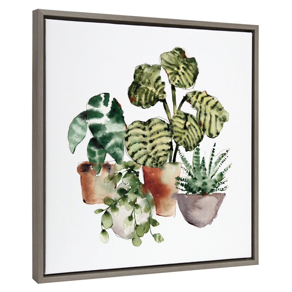 Sylvie Houseplants Framed Canvas by Sara Berrenson