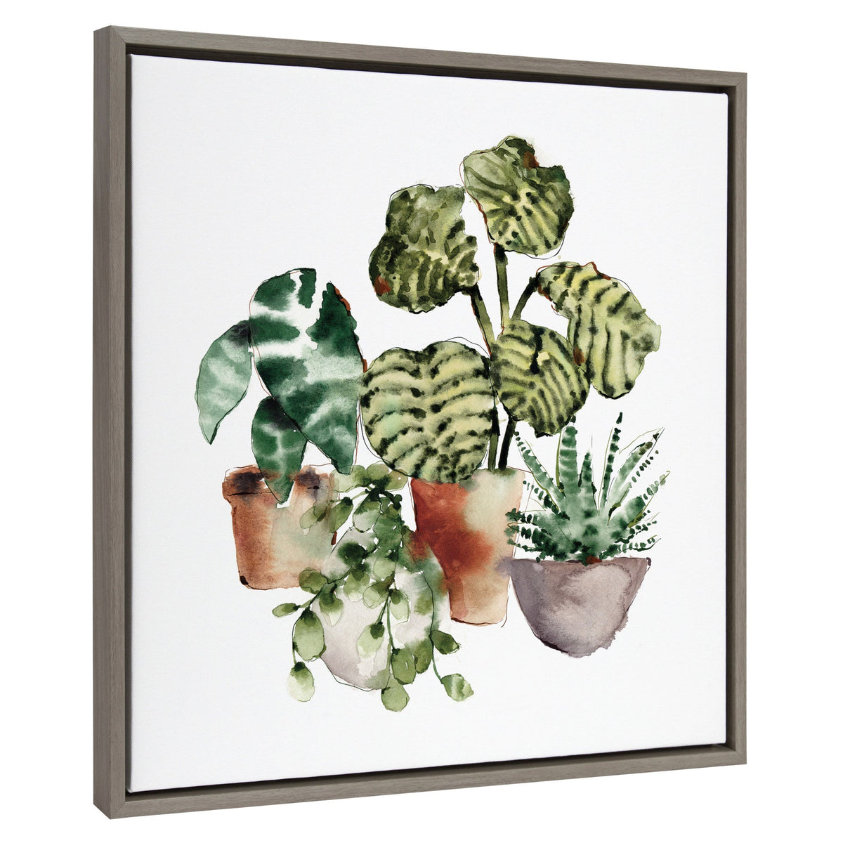Sylvie Houseplants Framed Canvas by Sara Berrenson