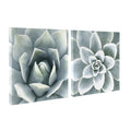 Soft Botanical Succulents by The Creative Bunch Studio