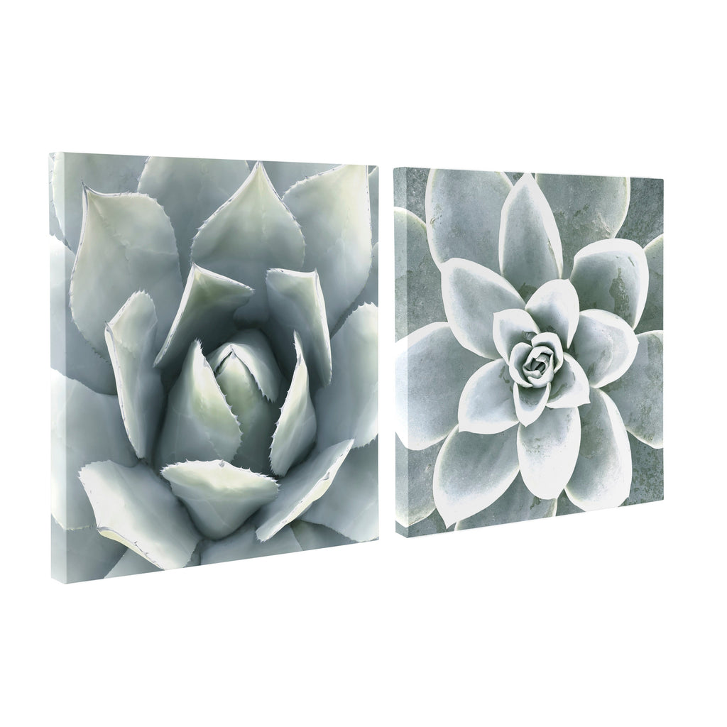Soft Botanical Succulents by The Creative Bunch Studio