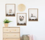 Sylvie Baby Zebra in Rustic Bath Framed Canvas by Amy Peterson Art Studio