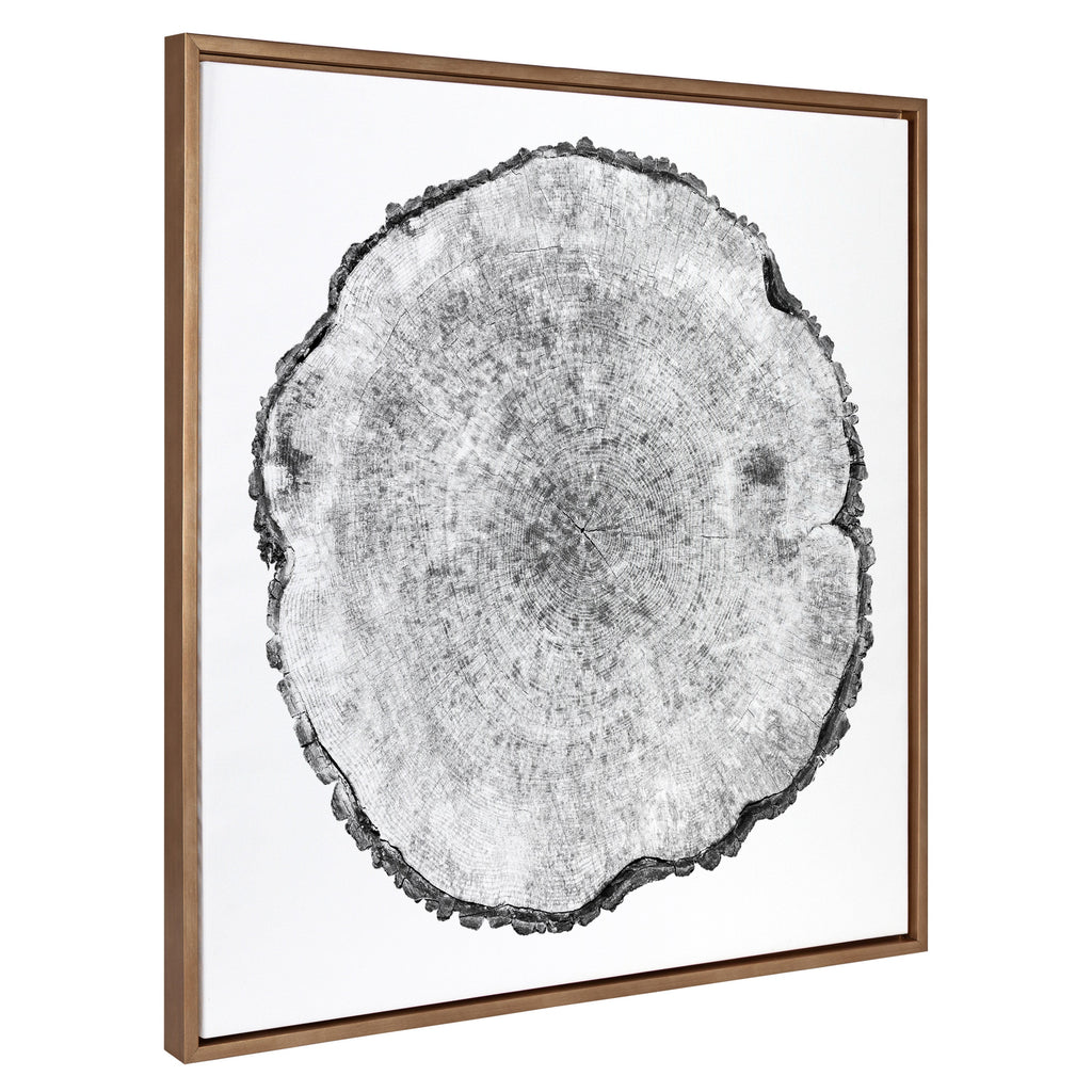 Sylvie Tree Rings Framed Canvas by Emiko and Mark Franzen of F2Images