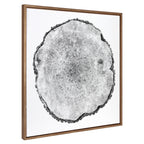 Sylvie Tree Rings Framed Canvas by Emiko and Mark Franzen of F2Images