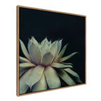 Sylvie Succulent Framed Canvas by F2 Images